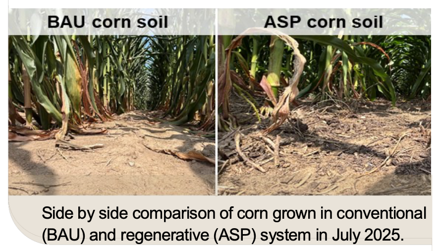 Screenshot 2026-01-21 at 11.41.31 AM.png